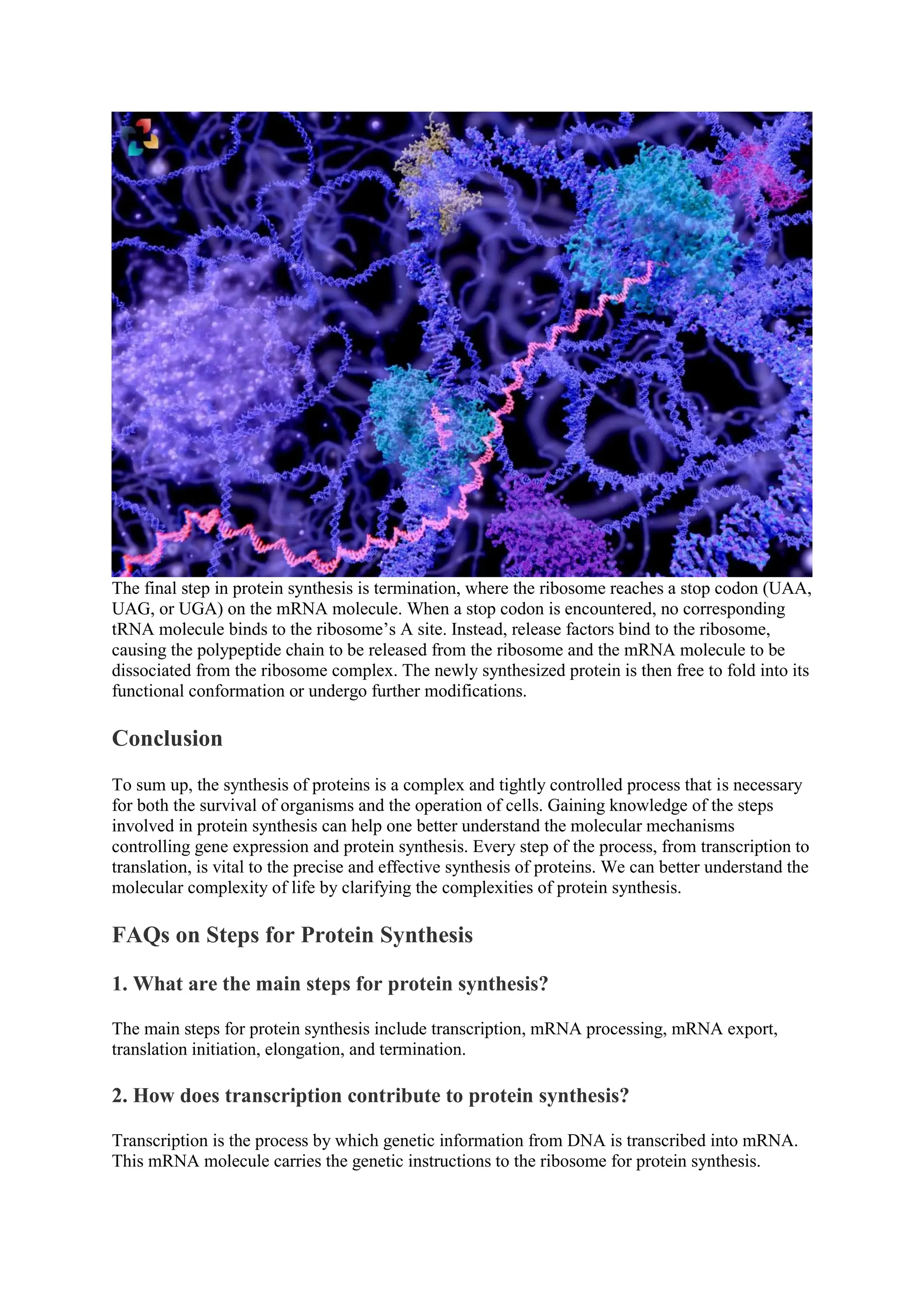 6 Important Steps for Protein Synthesis | The Lifesciences Magazine | PDF