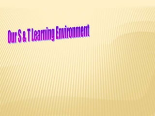 Ste Program Students Understanding the s & t program | PPTX