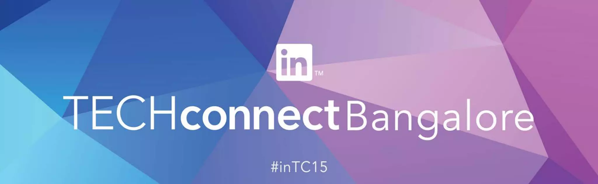 Understanding the Technology Buyer on LinkedIn - TECHconnect Bangalore 2015