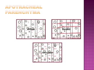Understanding the three surfaces of wood | PPTX