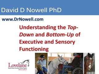 David D Nowell PhD 
www.DrNowell.com 
Understanding the Top- 
Down and Bottom-Up of 
Executive and Sensory 
Functioning 
 