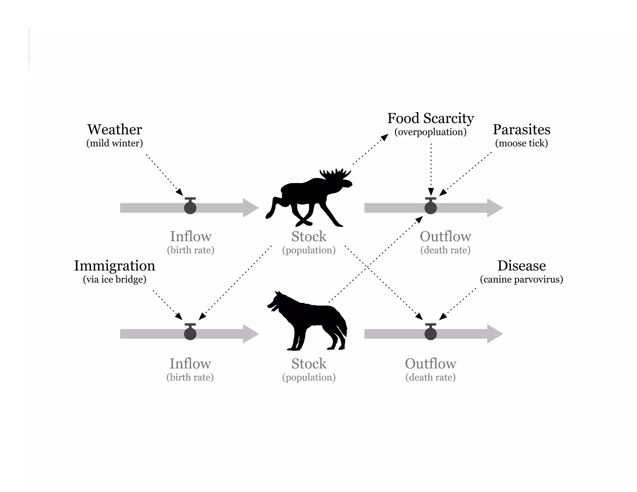 Food Scarcity
(overpopluation)
T T
Inflow
(birth rate)
Outflow
(death rate)
Stock
(population)
T T
Disease
(canine parvovirus)
Immigration
(via ice bridge)
Parasites
(moose tick)
Weather
(mild winter)
Inflow
(birth rate)
Outflow
(death rate)
Stock
(population)
 