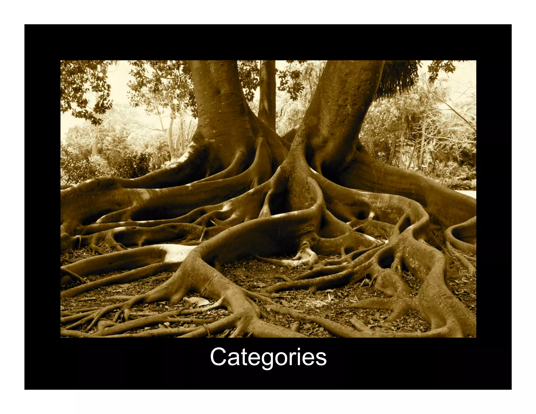 Categories
 