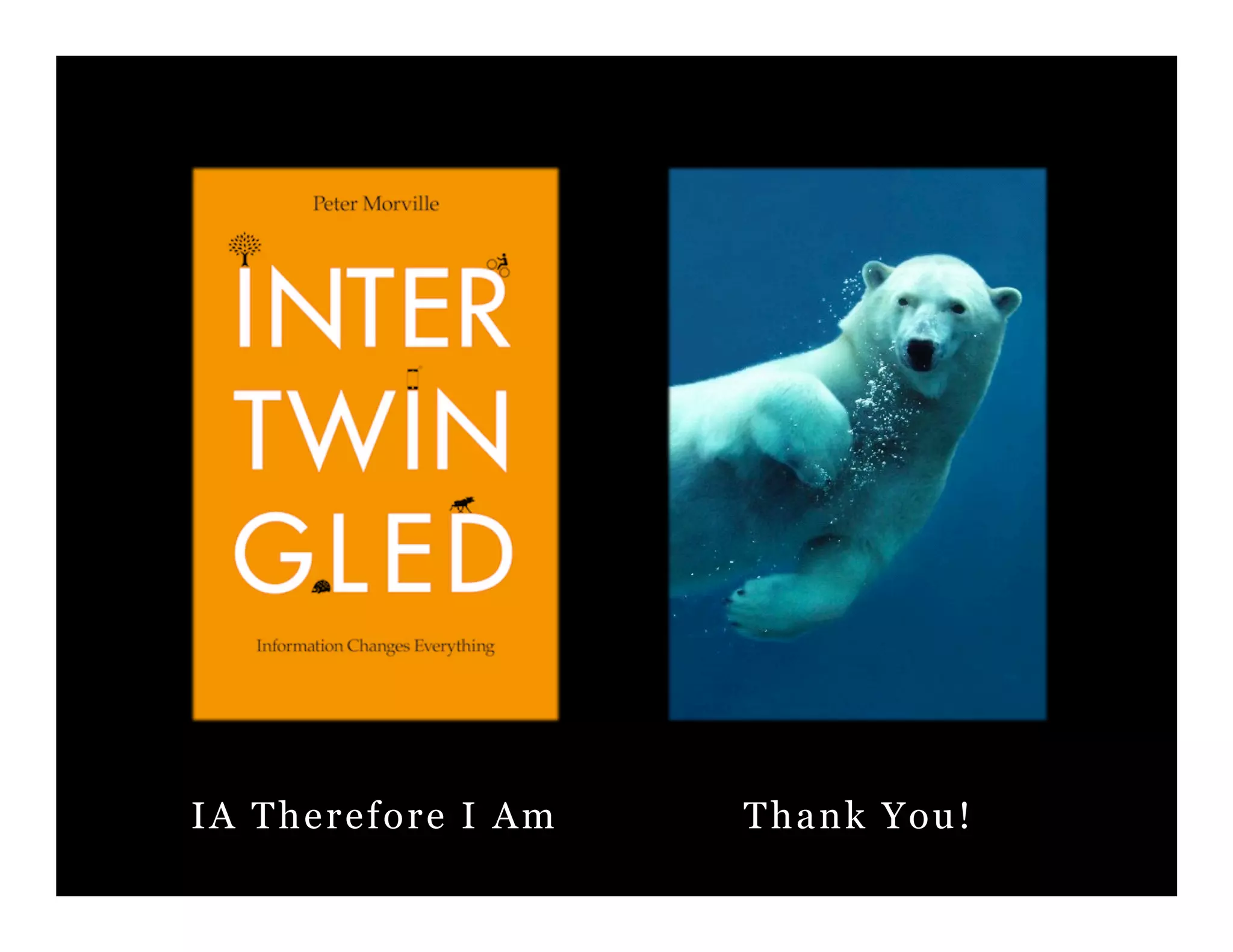 Thank You!IA Therefore I Am
 