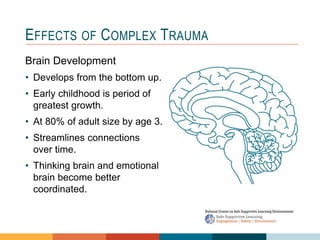 1
3
2
EFFECTS OF COMPLEX TRAUMA
Brain Development
• Develops from the bottom up.
• Early childhood is period of
greatest growth.
• At 80% of adult size by age 3.
• Streamlines connections
over time.
• Thinking brain and emotional
brain become better
coordinated.
 