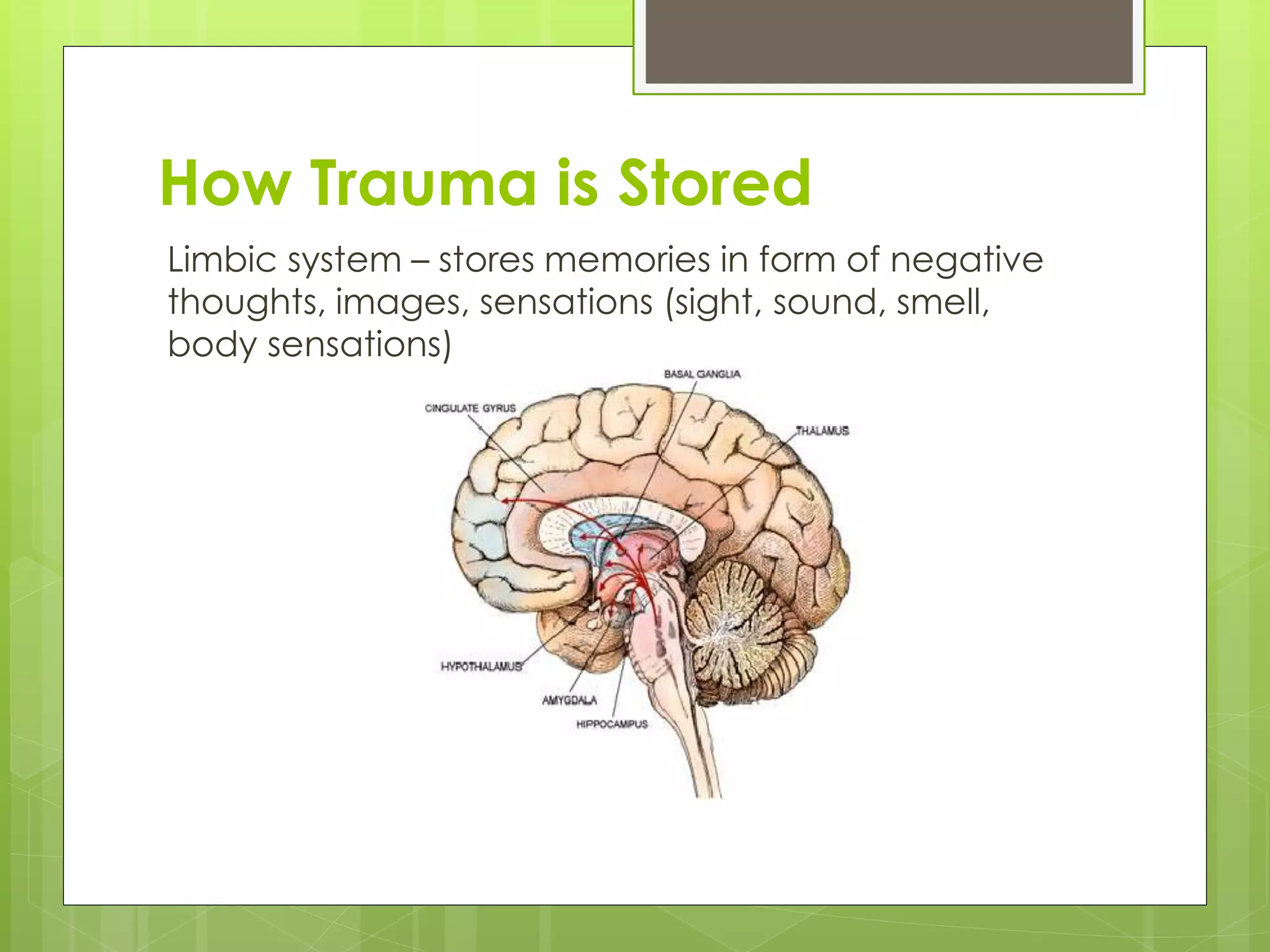 How Trauma is Stored 
Limbic system – stores memories in form of negative 
thoughts, images, sensations (sight, sound, smell, 
body sensations) 
 