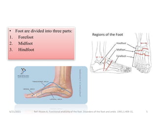 • Foot are divided into three parts:
1. Forefoot
2. Midfoot
3. Hindfoot
6/21/2021 Ref: Huson A. Functional anatomy of the foot. Disorders of the foot and ankle. 1991;1:409-31. 5
 