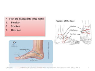 Understanding & treating common foot pathology | PPT