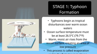STAGE 1: Typhoon
Formation
• Typhoons begin as tropical
disturbances over warm ocean
waters
• Ocean surface temperature must
be at least 26.5°C (79.7°F)
• Warm, moist air rises from the
ocean surface, creating an area of
low pressure
• This process is called evaporation
 
