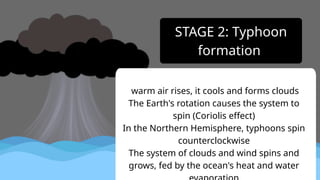 warm air rises, it cools and forms clouds
The Earth's rotation causes the system to
spin (Coriolis effect)
In the Northern Hemisphere, typhoons spin
counterclockwise
The system of clouds and wind spins and
grows, fed by the ocean's heat and water
STAGE 2: Typhoon
formation
 