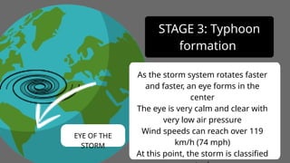 As the storm system rotates faster
and faster, an eye forms in the
center
The eye is very calm and clear with
very low air pressure
Wind speeds can reach over 119
km/h (74 mph)
At this point, the storm is classified
STAGE 3: Typhoon
formation
EYE OF THE
STORM
 