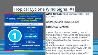 WIND THREAT: 39-61 km/h (22-33 kt, 10.8-
17.1 m/s)
WARNING LEAD TIME: 36 hours
POTENTIAL IMPACTS:
•House of poor construction (e.g., wood
frame, bamboo, makeshift), old dilapidated
structures, and other structures made of
light materials will suffer minimal to minor
damage.
•Some banana and similar plants are tilted,
while twigs of small trees may sway with the
wind. Rice crops, especially those in
flowering and ripening stages, may suffer
Tropical Cyclone Wind Signal #1
 