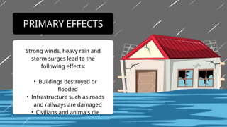 Strong winds, heavy rain and
storm surges lead to the
following effects:
• Buildings destroyed or
flooded
• Infrastructure such as roads
and railways are damaged
• Civilians and animals die
PRIMARY EFFECTS
 