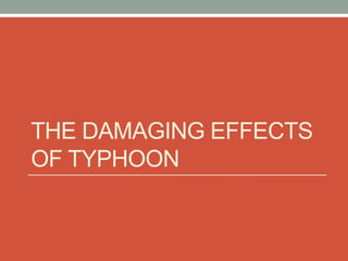 THE DAMAGING EFFECTS
OF TYPHOON
 