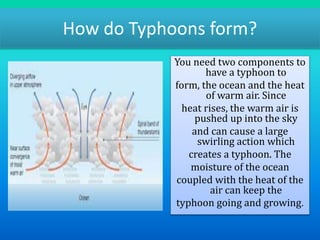 How do Typhoons form?
You need two components to
have a typhoon to
form, the ocean and the heat
of warm air. Since
heat ri...