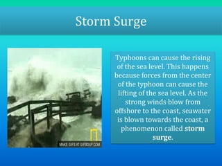 Storm Surge 
Typhoons can cause the rising 
of the sea level. This happens 
because forces from the center 
of the typhoon can cause the 
lifting of the sea level. As the 
strong winds blow from 
offshore to the coast, seawater 
is blown towards the coast, a 
phenomenon called storm 
surge. 
 