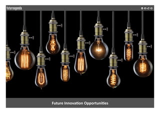  
	
  
Future	
  Innova3on	
  Opportuni3es	
  
 