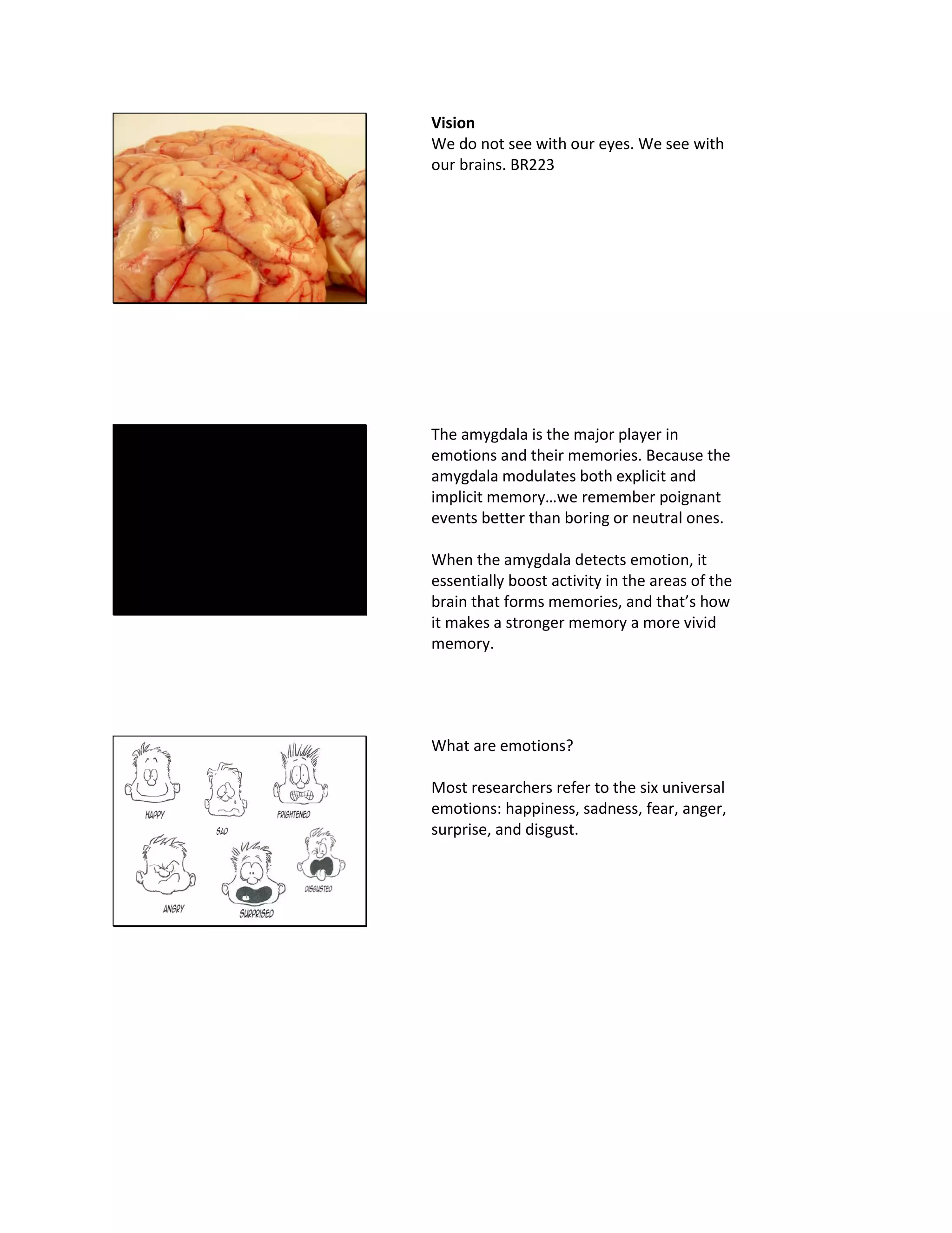 Vision
We do not see with our eyes. We see with
our brains. BR223
The amygdala is the major player in
emotions and their memories. Because the
amygdala modulates both explicit and
implicit memory…we remember poignant
events better than boring or neutral ones.
When the amygdala detects emotion, it
essentially boost activity in the areas of the
brain that forms memories, and that’s how
it makes a stronger memory a more vivid
memory.
What are emotions?
Most researchers refer to the six universal
emotions: happiness, sadness, fear, anger,
surprise, and disgust.
 