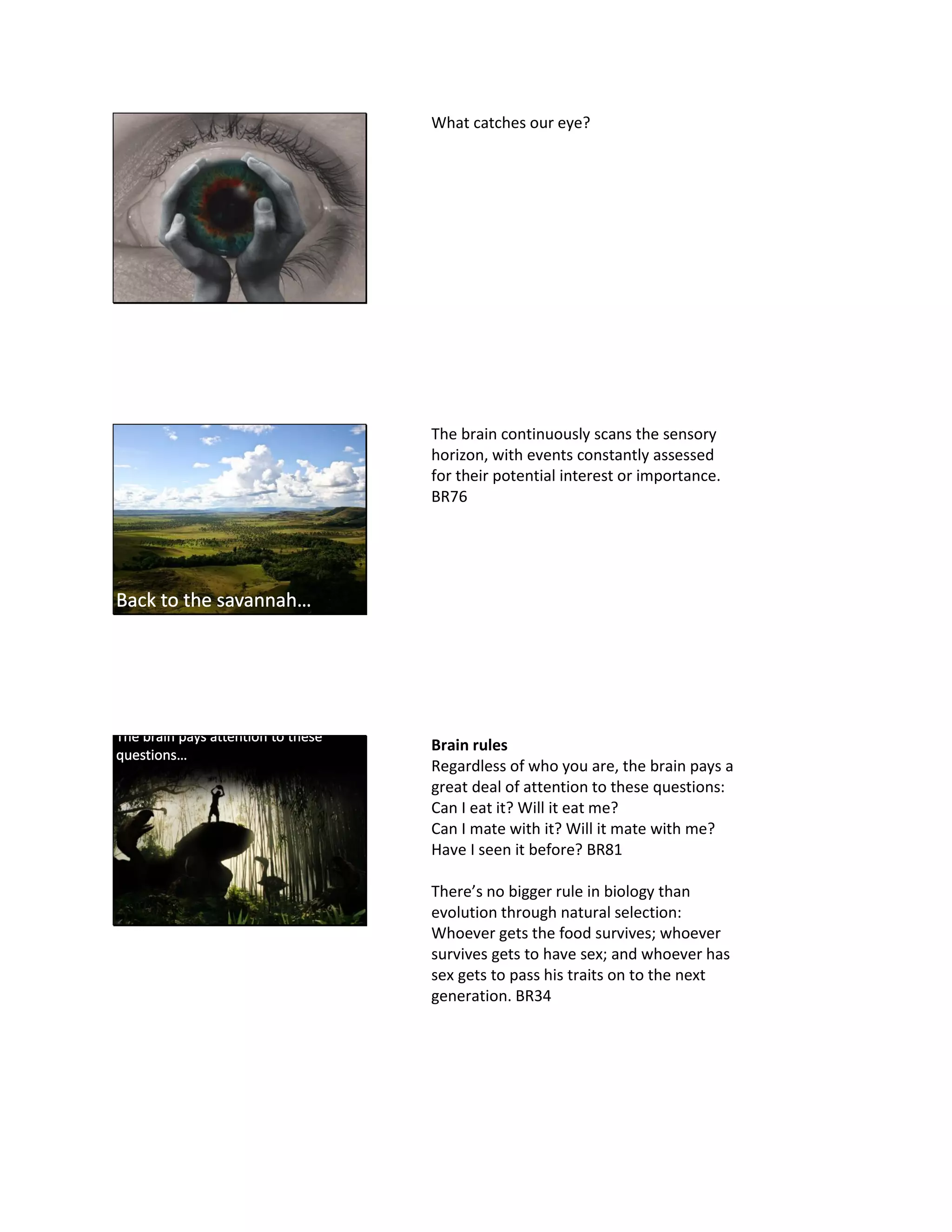 What catches our eye?
The brain continuously scans the sensory
horizon, with events constantly assessed
for their potential interest or importance.
BR76
Brain rules
Regardless of who you are, the brain pays a
great deal of attention to these questions:
Can I eat it? Will it eat me?
Can I mate with it? Will it mate with me?
Have I seen it before? BR81
There’s no bigger rule in biology than
evolution through natural selection:
Whoever gets the food survives; whoever
survives gets to have sex; and whoever has
sex gets to pass his traits on to the next
generation. BR34
 