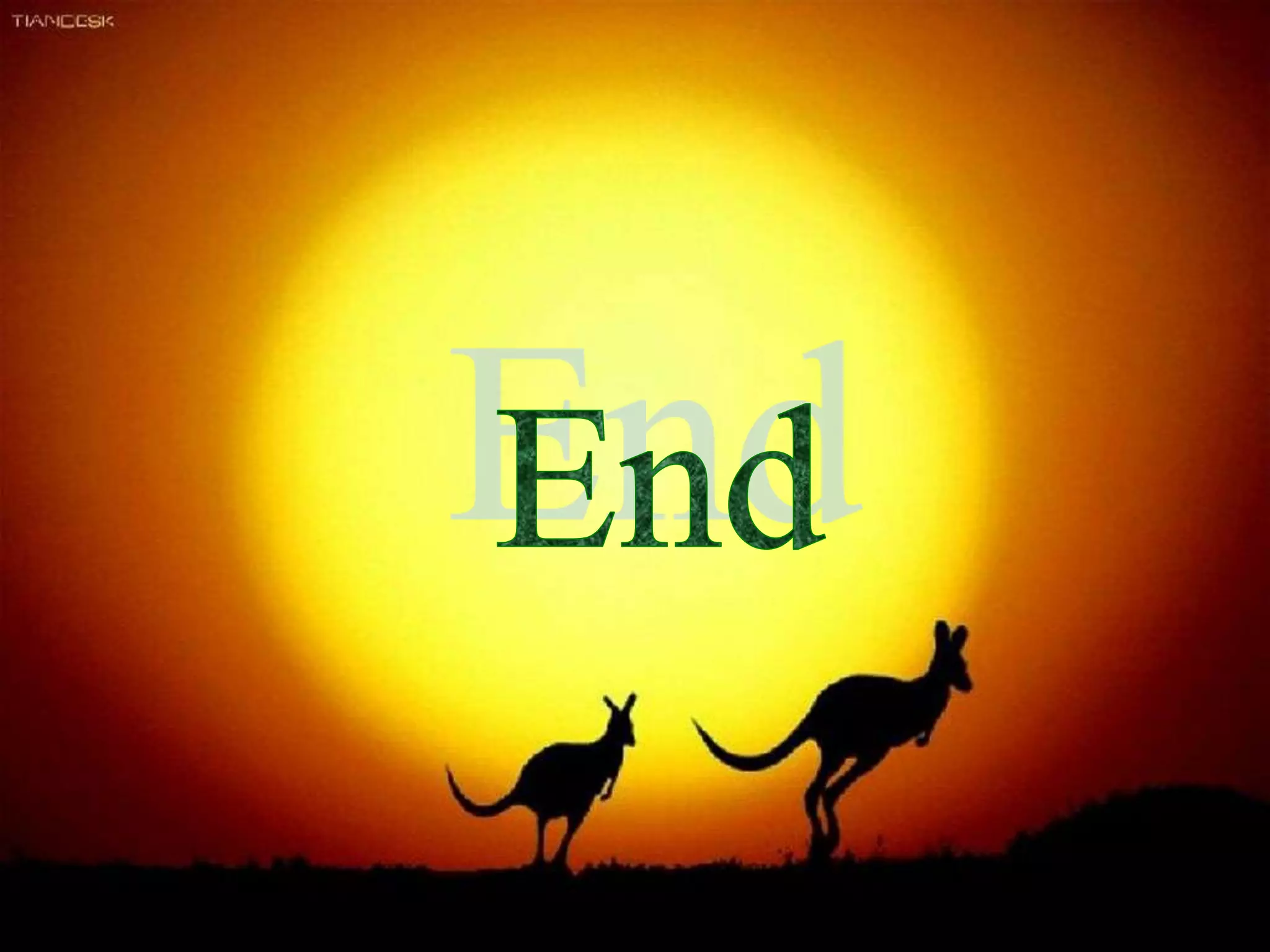 Understanding value from the book of mrs. colon