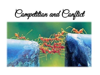 Competition and Conflict
 