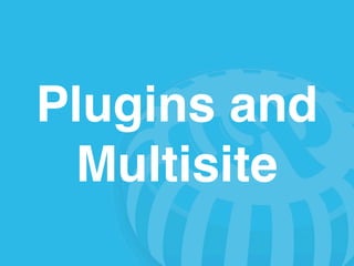 Plugins and
 Multisite
 