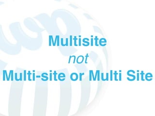 Multisite
          not
Multi-site or Multi Site
 