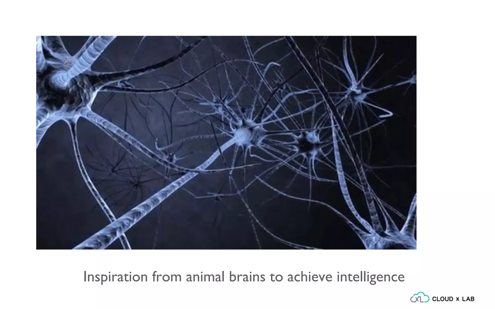 Understanding computer vision with Deep Learning | PPT