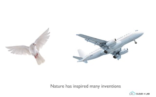 Nature has inspired many inventions
 