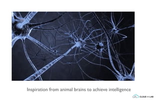Inspiration from animal brains to achieve intelligence
 
