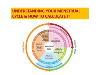UNDERSTANDING YOUR MENSTRUAL
CYCLE & HOW TO CALCULATE IT
 