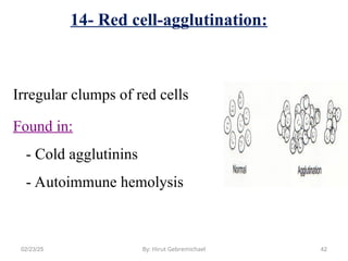 Understand RBCs morphology and inclusion bodies.ppt