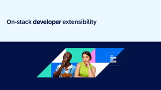 On-stack developer extensibility
 