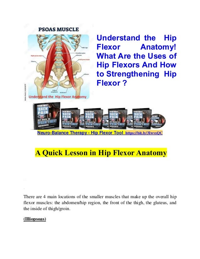 Understand the hip flexor anatomy! what are the uses of hip flexors and
