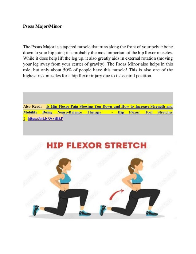 Understand the hip flexor anatomy! what are the uses of hip flexors and