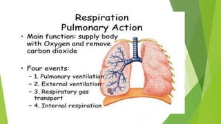 Ventilatory Mechanism-(external respiration)
 The word nabhi (umbilical region) in
relation to ventilatory mechanism coul...