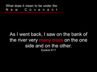 As I went back, I saw on the bank of
the river very many trees on the one
side and on the other.
Ezekiel 47:7
What does it mean to be under the
N e w C o v e n a n t
 