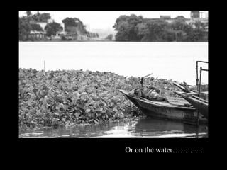 Or on the ɲٱ
 