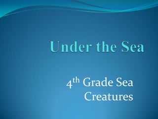 Under the Sea 4th Grade Sea Creatures 