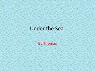 Under the Sea

   By Thomas
 
