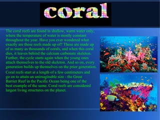 The coral reefs are found in shallow, warm water only,
where the temperature of water is mostly constant
throughout the year. Have you ever wondered what
exactly are these reefs made up of? These are made up
of as many as thousands of corals, and when this coral
dies, it leaves behind the calcium carbonate skeleton.
Further, the cycle starts again when the young ones
attach themselves to the old skeleton. And so on, every
generation builds up themselves on the prior generation.
Coral reefs start at a length of a few centimeters and
go on to attain an unimaginable size - the Great
Barrier Reef in the Pacific Ocean being one of the
best example of the same. Coral reefs are considered
largest living structures on the planet.
 