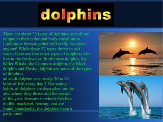 There are about 32 types of dolphins and all are
unique in their color and body constitution.
Looking at them together will really fascinate
anyone! While these 32 types thrive in salt
water, there are five other types of dolphins who
live in the freshwater. Bottle nose dolphin, the
Killer Whale, the Common dolphin, the Black
dolphin and Dusky dolphin are some of the types
of dolphins.
an adult dolphin eats nearly 20 to 22
kilos of fish every day!! The eating
habits of dolphins are dependent on the
area where they thrive and the season
of the year. Seasons in which fish like
mullet, mackerel, herring, cod are
found abundantly, the dolphins have a
party time!
 