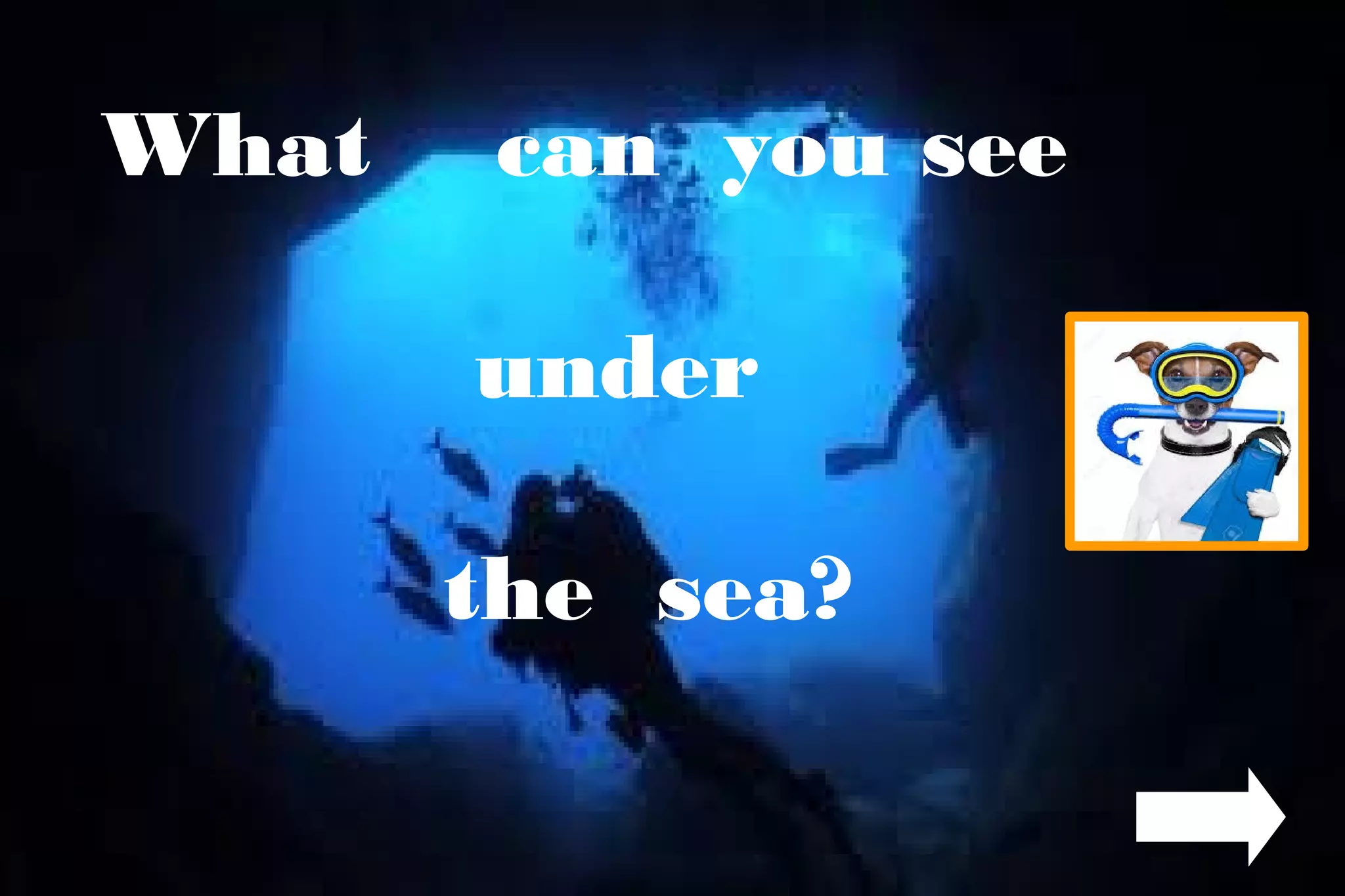 What can you see
under
the sea?