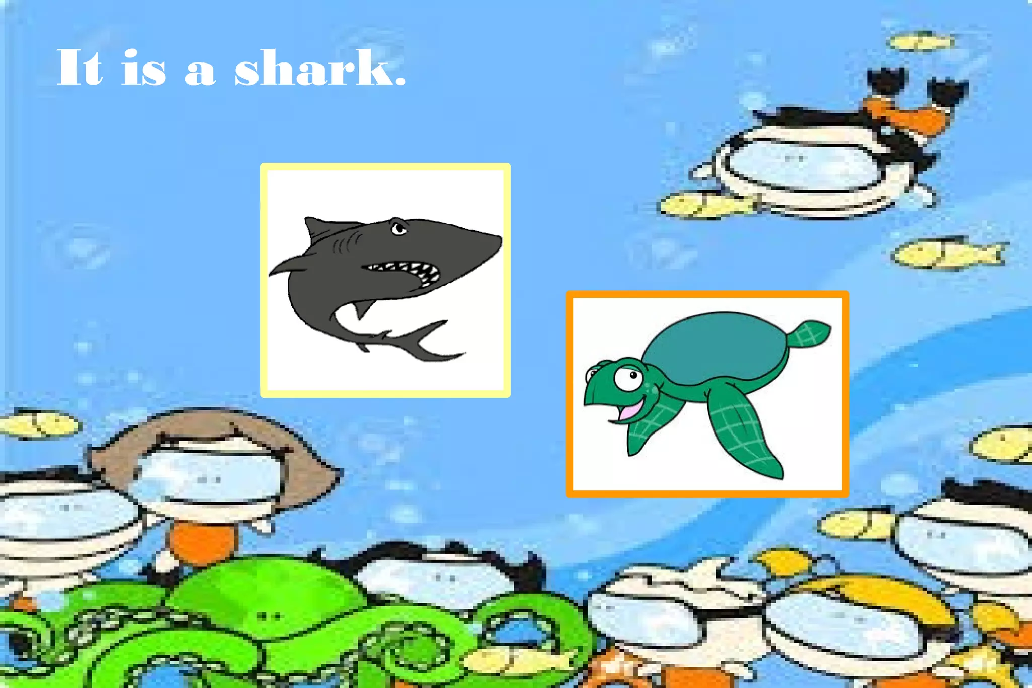 It is a shark.