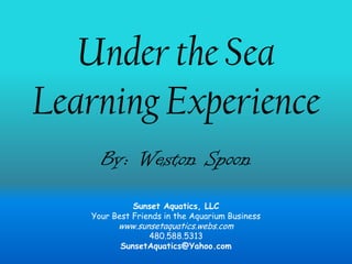 Under the SeaLearning Experience  Inspired and Themed by Pixar’s “Finding Nemo” 