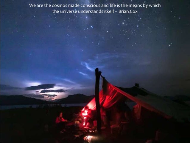 Under The Stars