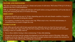 Fym Well Rotted Underutilized Cucurbitaceous Vegetables.pptx
