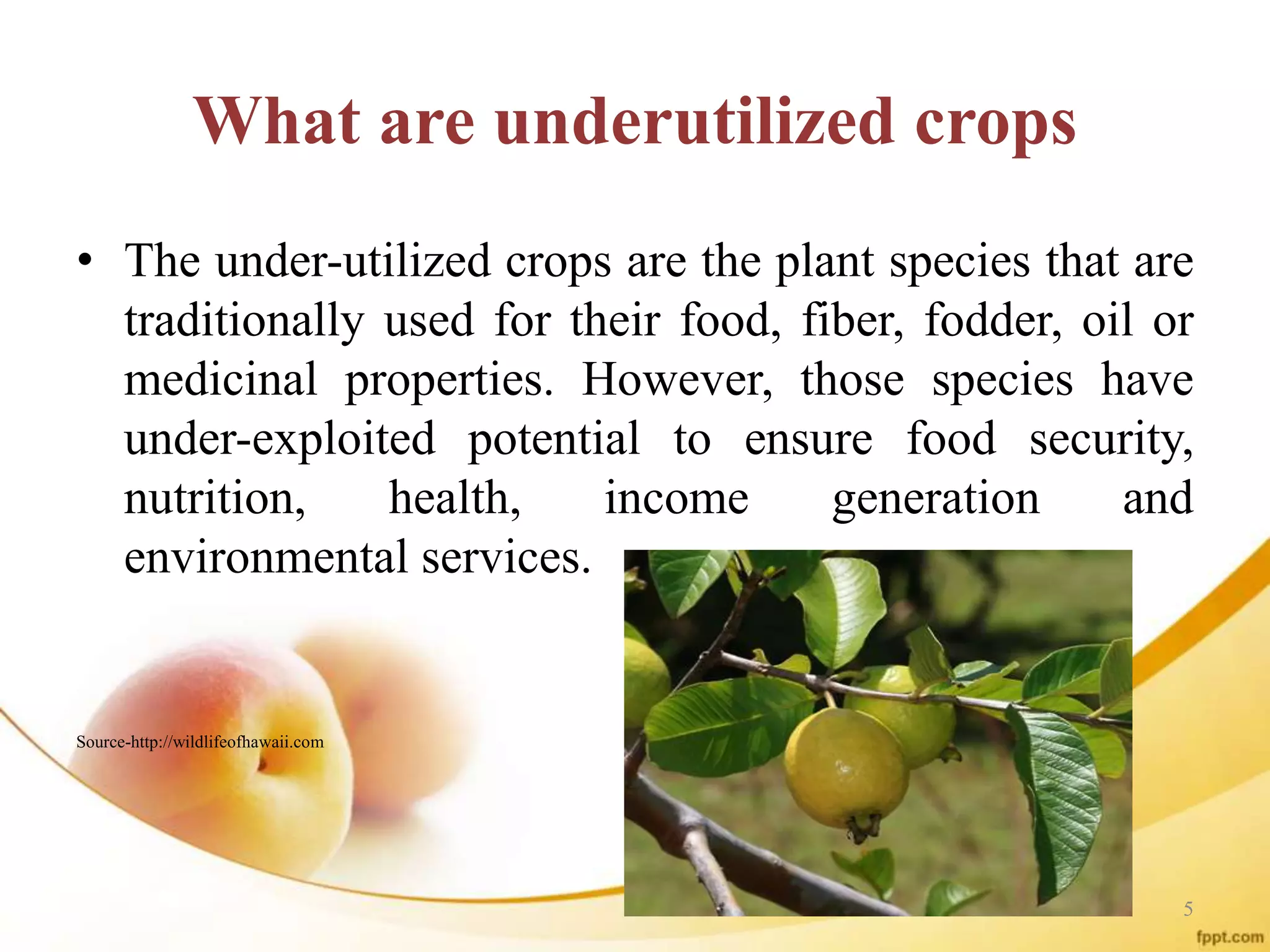 What are underutilized crops
• The under-utilized crops are the plant species that are
traditionally used for their food, fiber, fodder, oil or
medicinal properties. However, those species have
under-exploited potential to ensure food security,
nutrition, health, income generation and
environmental services.
Source-http://wildlifeofhawaii.com
5
 