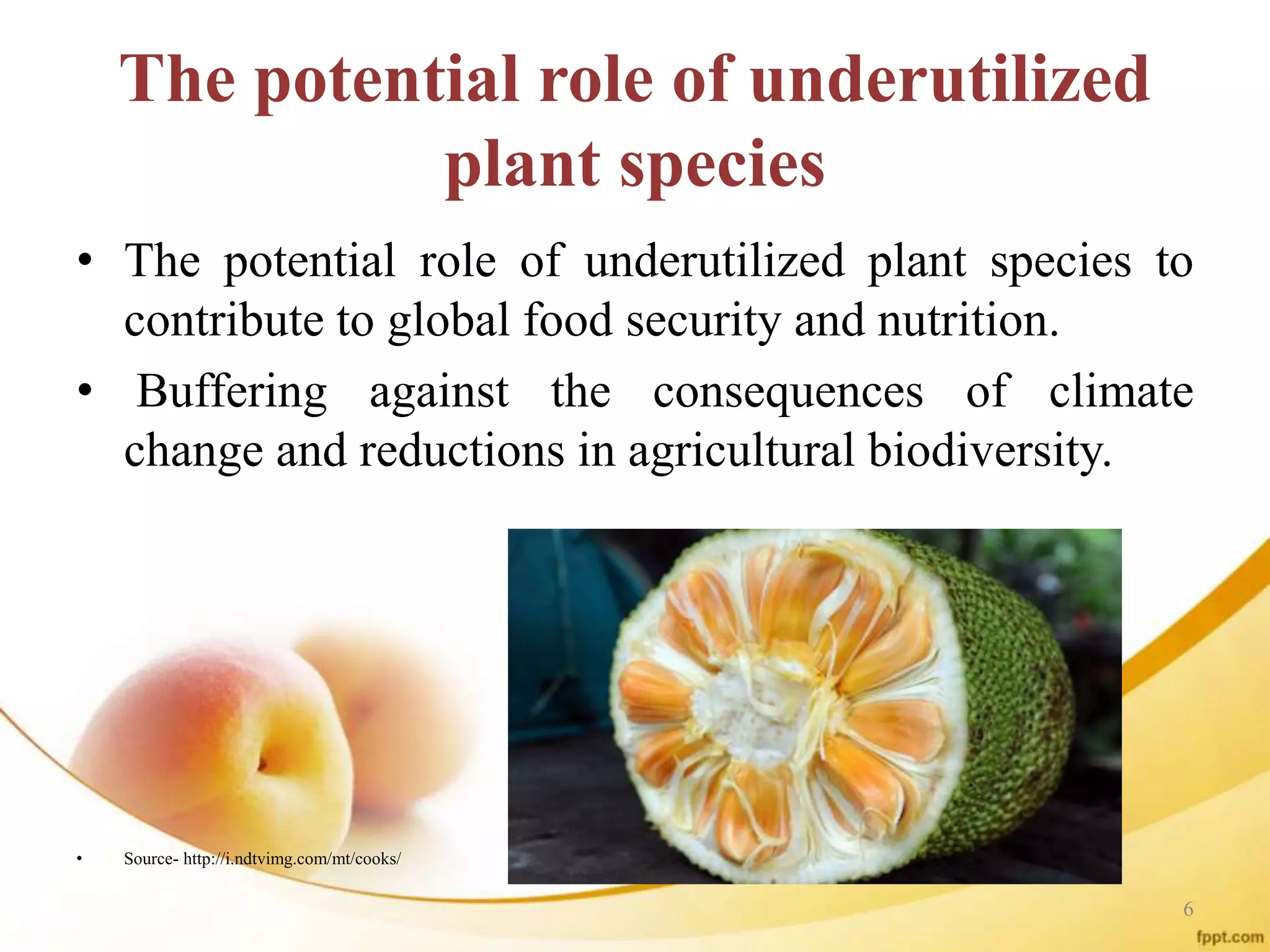 The potential role of underutilized
plant species
• The potential role of underutilized plant species to
contribute to global food security and nutrition.
• Buffering against the consequences of climate
change and reductions in agricultural biodiversity.
• Source- http://i.ndtvimg.com/mt/cooks/
6
 