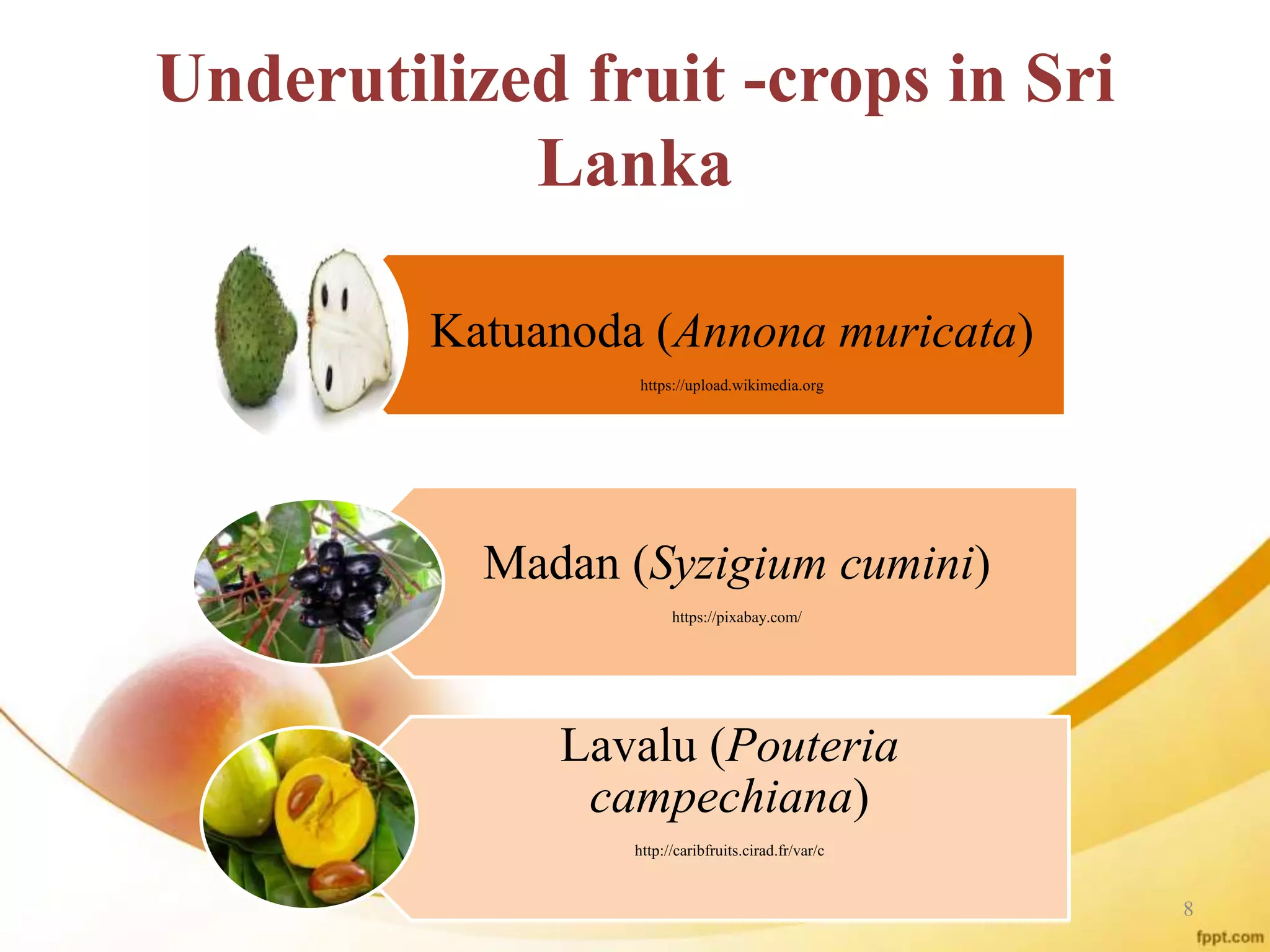 Underutilized fruit -crops in Sri
Lanka
Katuanoda (Annona muricata)
https://upload.wikimedia.org
Madan (Syzigium cumini)
https://pixabay.com/
Lavalu (Pouteria
campechiana)
http://caribfruits.cirad.fr/var/c
8
 